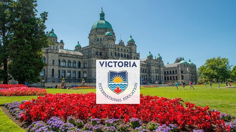 Why Studying with the Victoria School District is the Best Choice You Can Make
